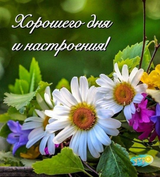 Счастливого дня и хорошего настроения