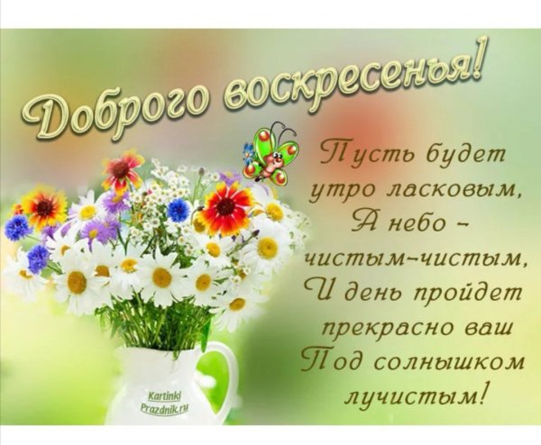 Доброе утро воскресенья пожелания