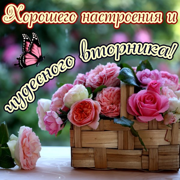 Хорошего вторника