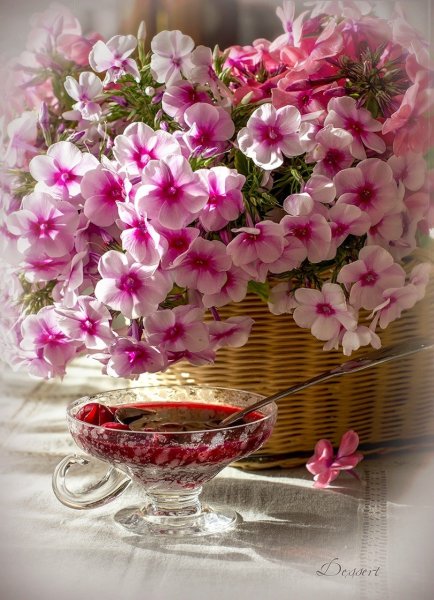 Доброе утро чудесного дня