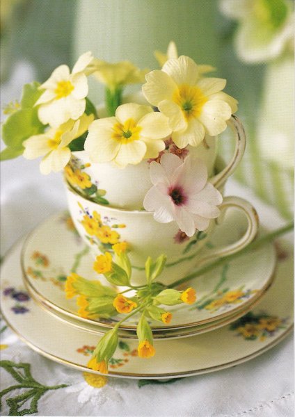 Цветы в чашке