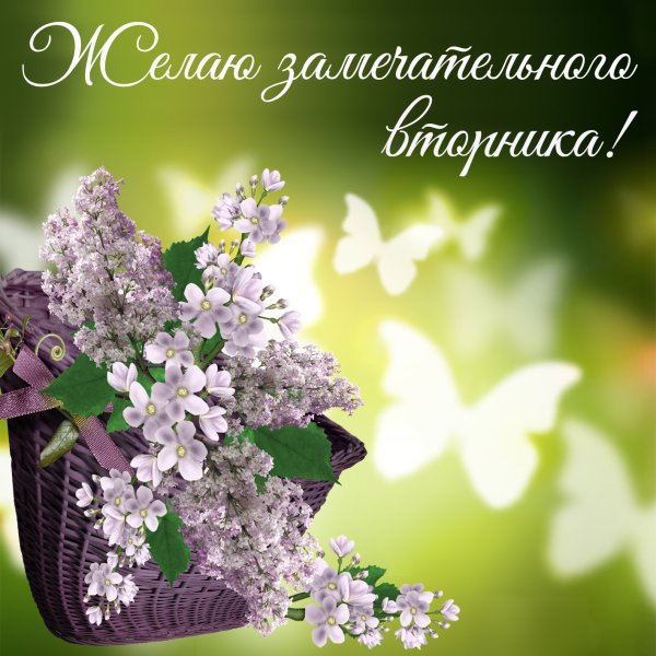 Открытки со вторником