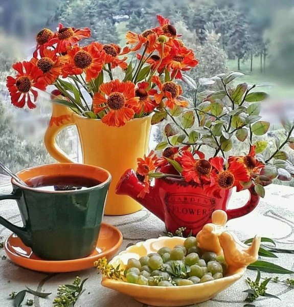 Чудесного утра и прекрасного дня