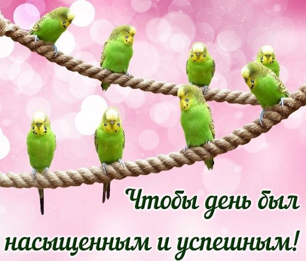 Доброго четверга и удачного дня