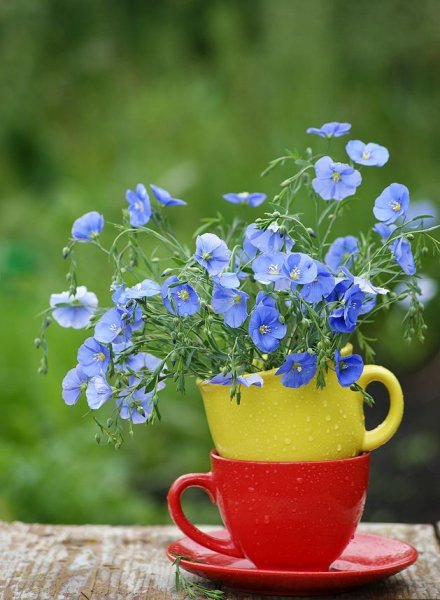 Доброго летнего утра и отличного настроения