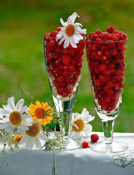 Доброе утро лето