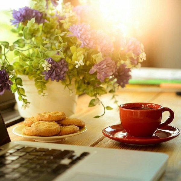 Радостного утра