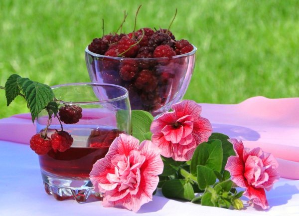 Летнее утро