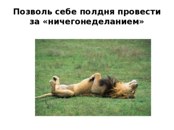 Гомер симпсон спит на диване