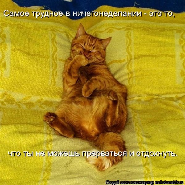 Ничегонеделание картинки