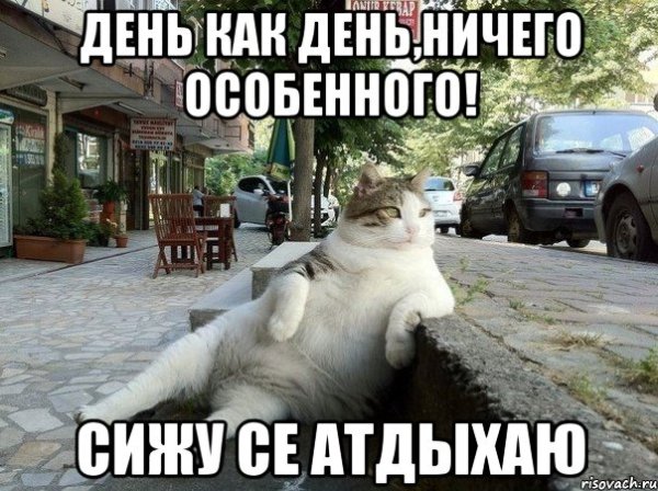 День ничегонеделания рисунок