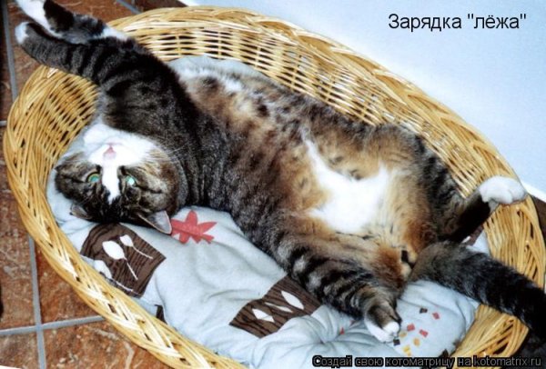 Ленивые люди лежат на диване