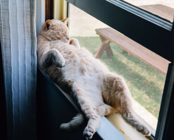 Прокрастинация в жизни человека