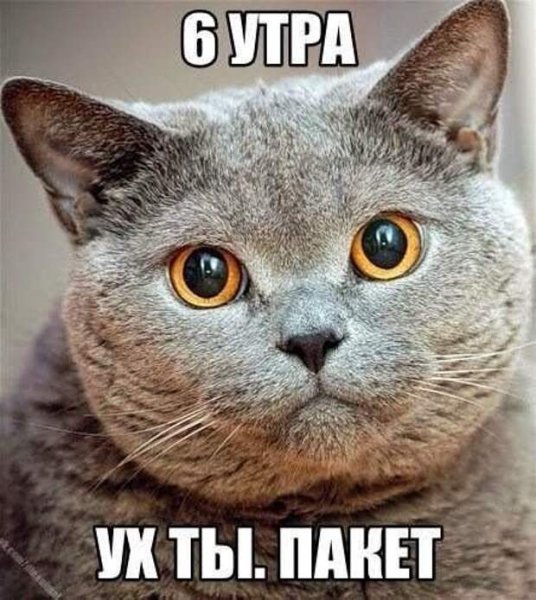 Так устал от всего