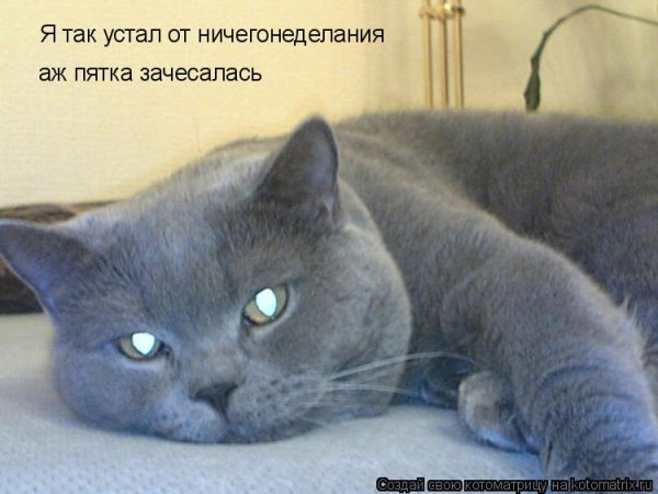 Валяться на диване