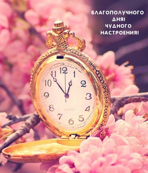 Доброе утро счастливого дня