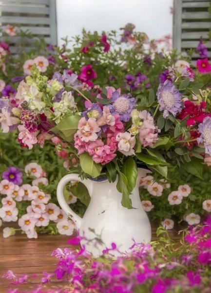 Позитивные пожелания на каждый день