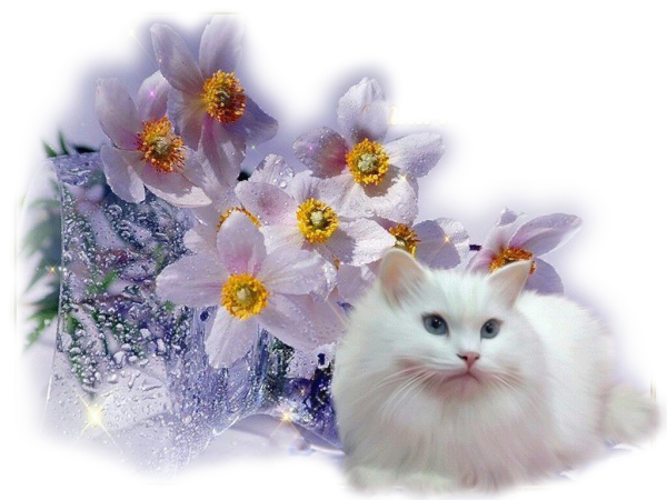 Прекрасной субботы