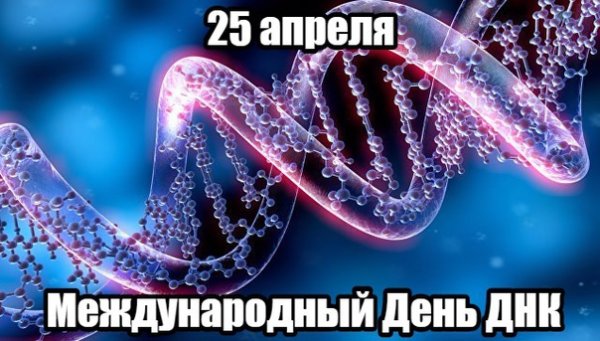 Интересные факты о ДНК