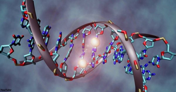 ДНК рассыпается