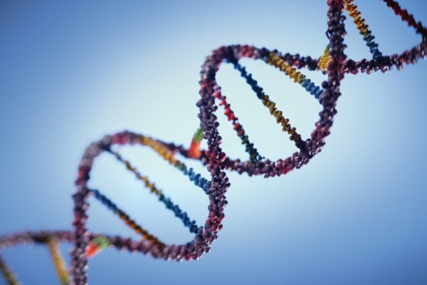 Молекула ДНК человека