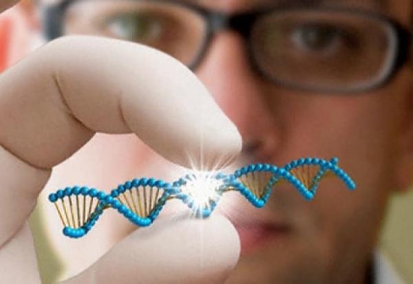 ДНК молекула жизни