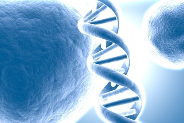 25 Апреля праздник