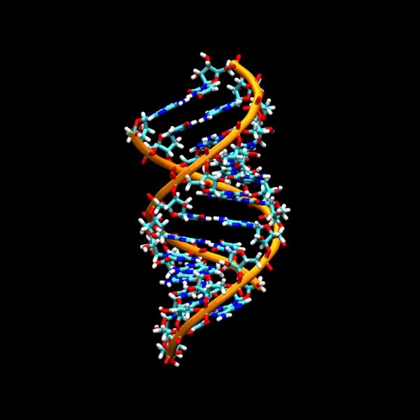 Фото ДНК вируса