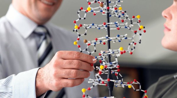 Молекулы в ряд