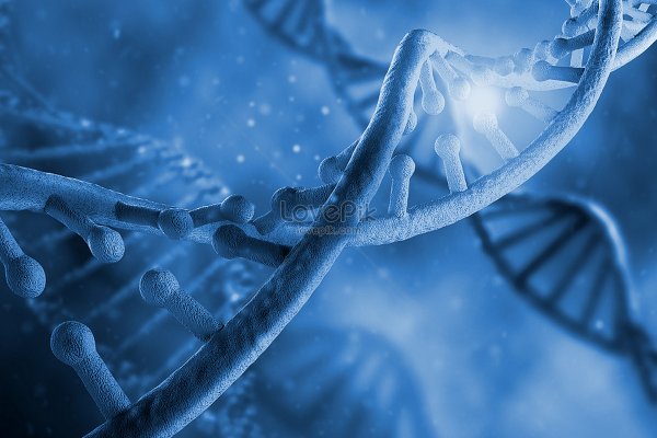 ДНК картинки высокого разрешения