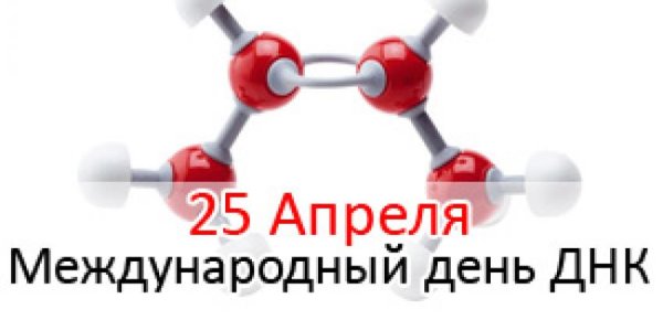 Компьютер из ДНК