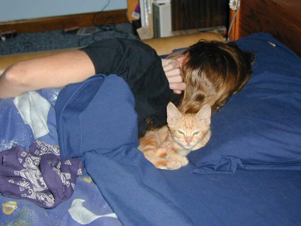 Выходные насмарку