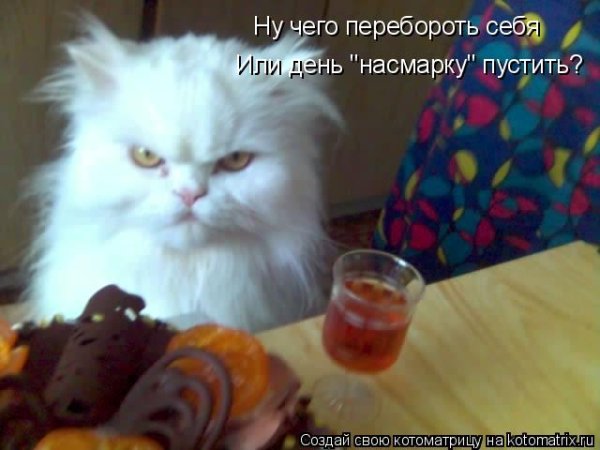 Весь день насмарку