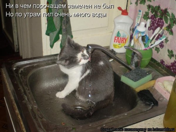 Влюбленные мультяшки