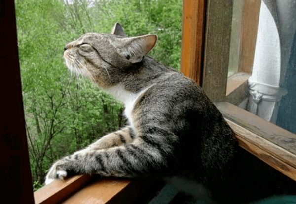 Пойти насмарку