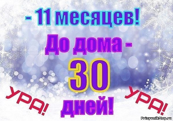 Число 11