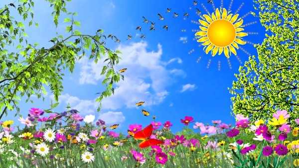 Летняя природа для детей