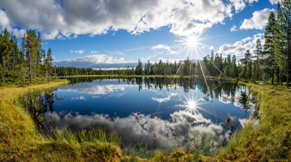 Природа России реки