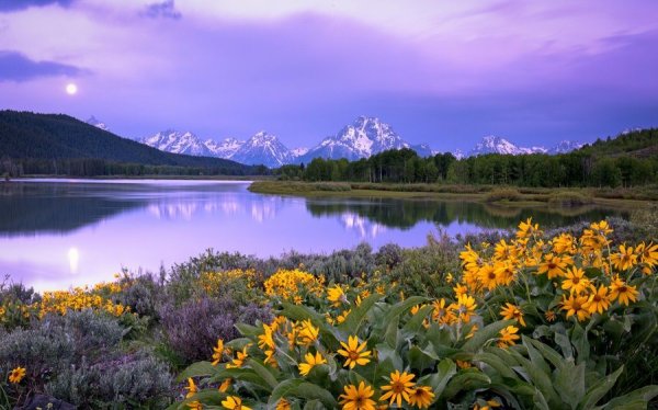 Красивый пейзаж