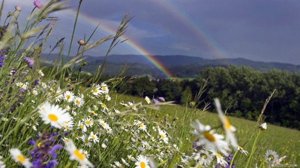 Июль пейзаж