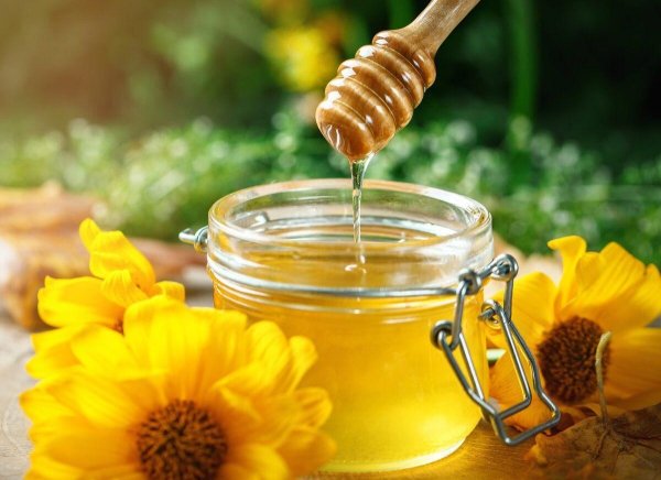 Мед на фоне природы