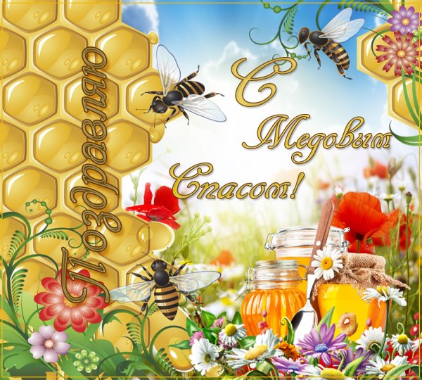 Медовый спас открытки