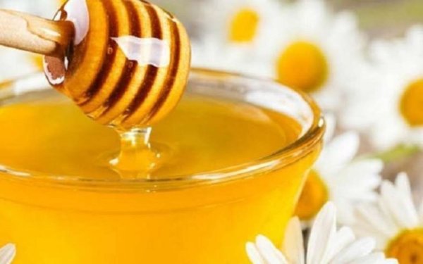 Праздник меда