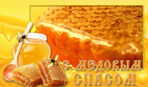 Мёд в сотах