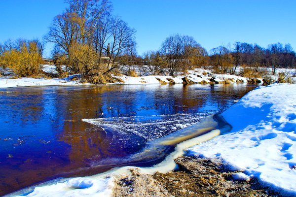 Весенний денек