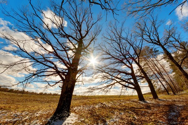 Весеннее солнце