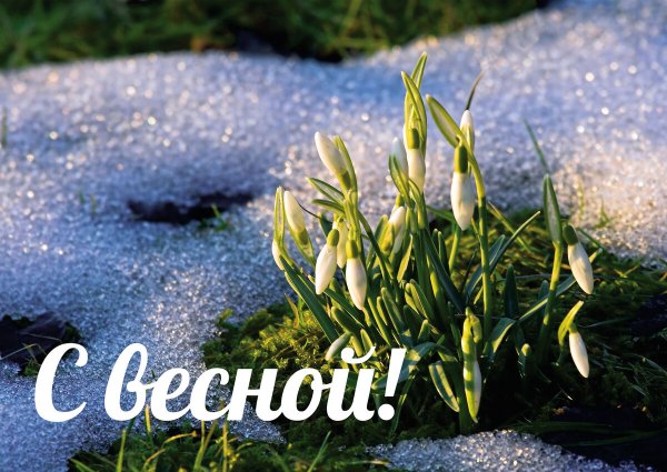 С первым днем весны