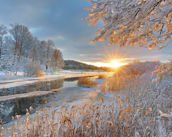 Февральский пейзаж