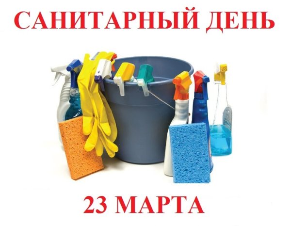 Картина санитарный день