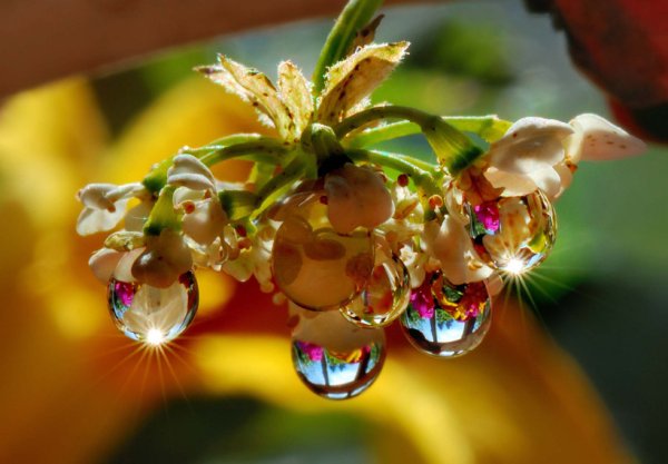 Красота вокруг нас